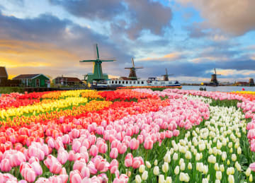 Dutch Regulator Tells Operators to Stop Obstructing Players Who Want to Close Their Accounts