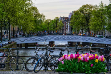 Dutch Councillor Calls for Online Gambling Age to Be Raised to 24