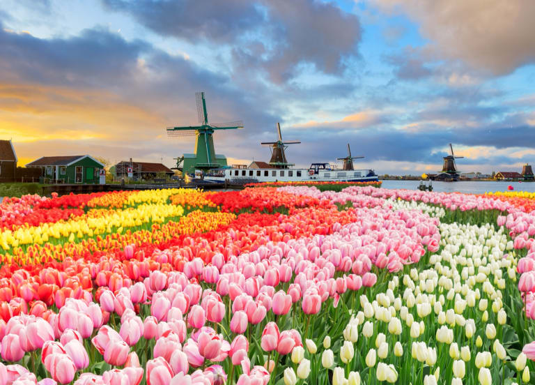 Dutch Regulator Tells Operators to Stop Obstructing Players Who Want to Close Their Accounts