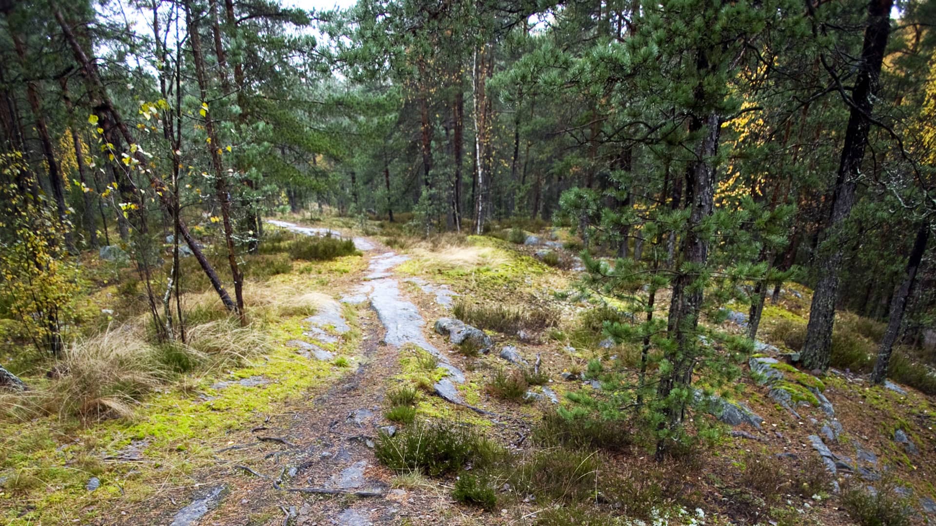 Asunnot Helsinki - YIT Koti - Kuninkaantammi