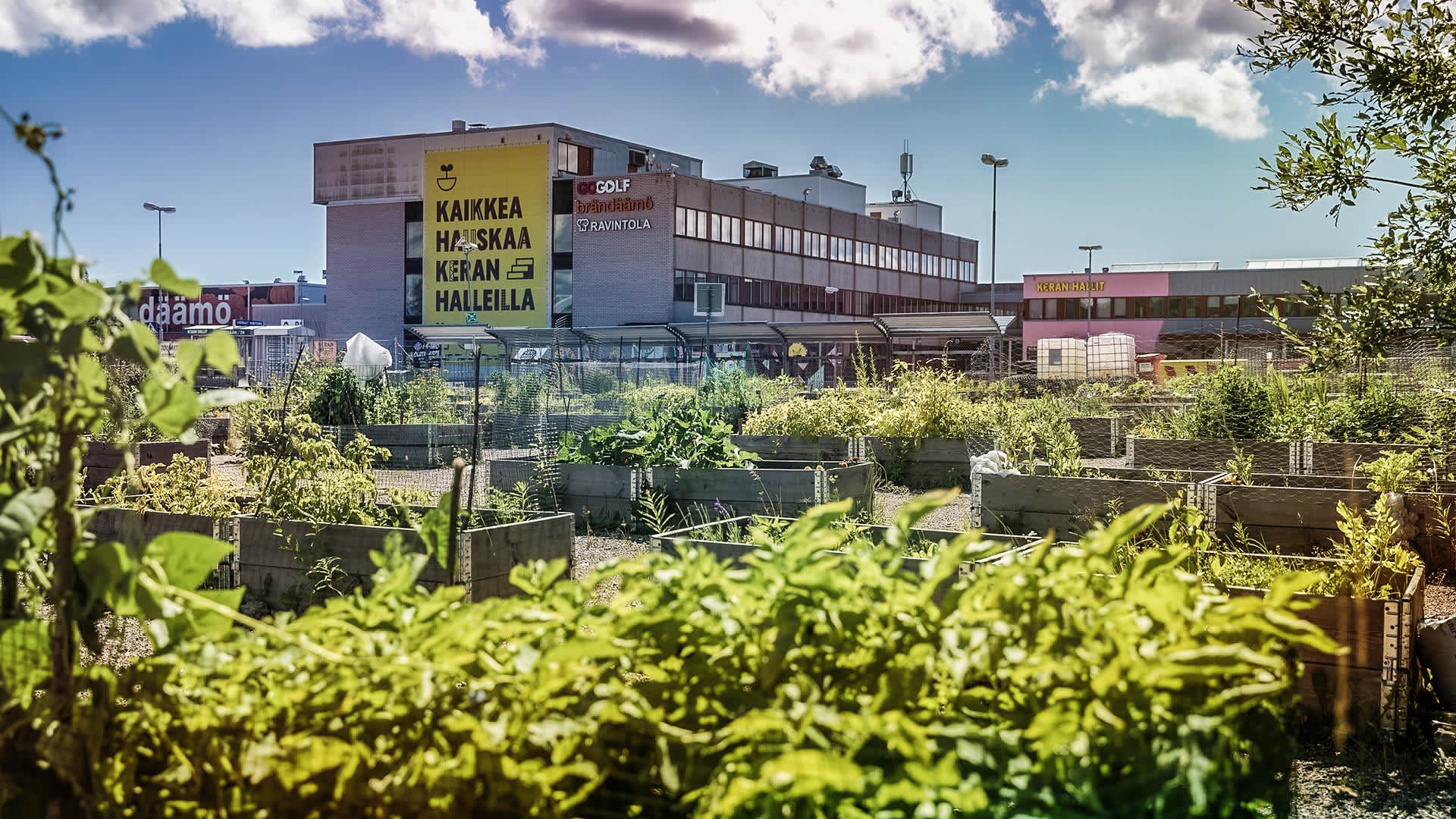 Keran Hallit asettuivat logistiikkakeskuksen tiloihin vuonna 2020 ja sen jälkeen Halleista on muotoutunut elävä ja ainutlaatuinen kaupunkikulttuurin keskus. Vähitellen Hallit tekevät tilaa alueen uusille asukkaille. Myytävät asunnot ja uudiskohteet Kerassa.