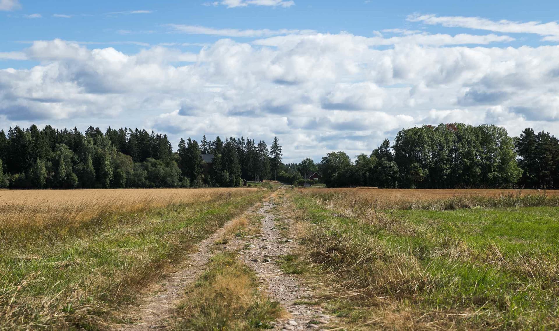 Myytävät asunnot Hiekkaharjussa. Ulkoilureitit alkavat lähes kotiovelta.