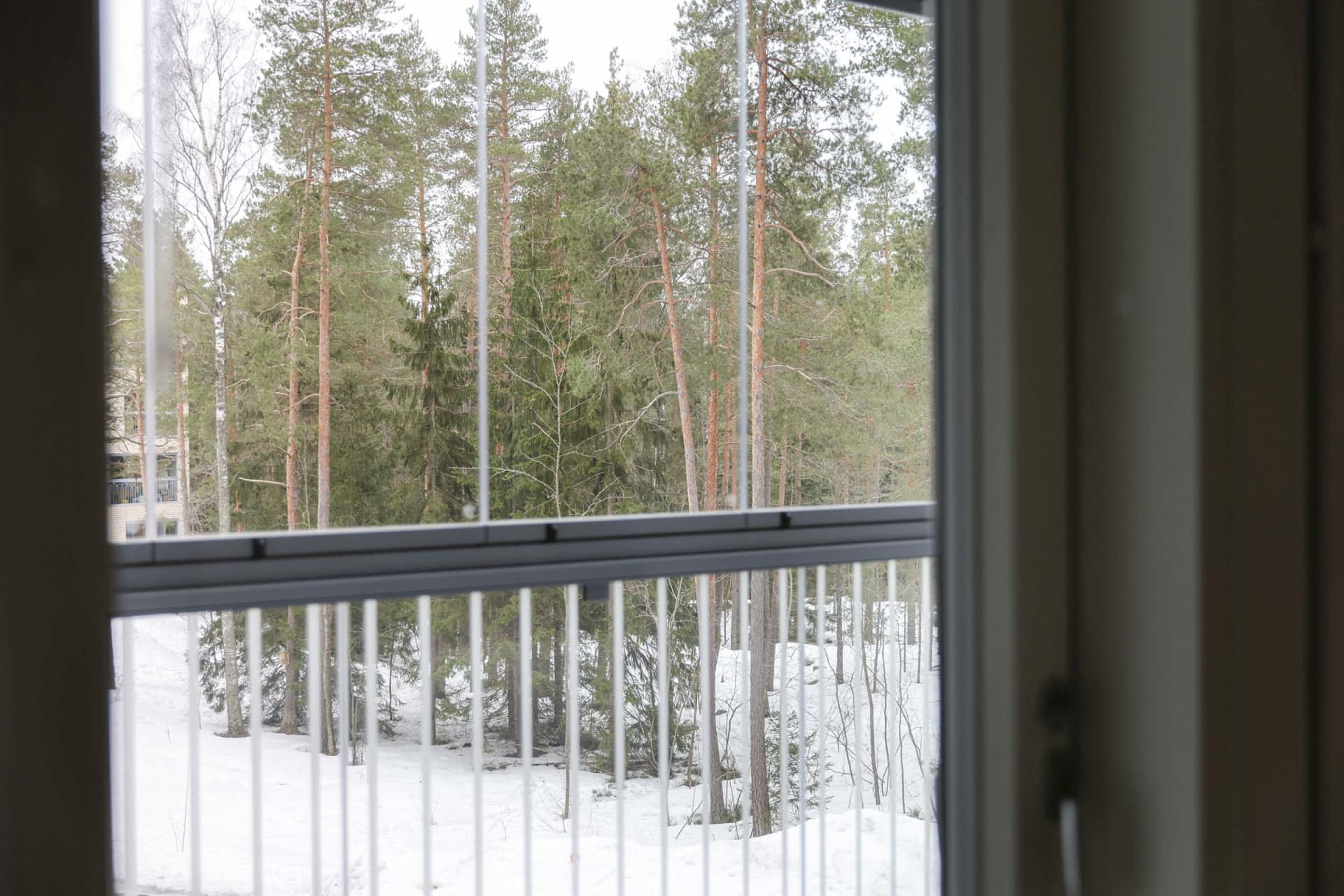 Myytävät asunnot Helsingin Kuninkaantammessa. Tutustu Kuninkaanmiekan myytäviin koteihin ja varaa omasi. Kuninkaantammi on kauniin vehreä alue Pohjois-Helsingissä. 
