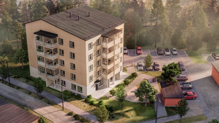 Suuntaa antava visualisointi Lappeenrannan Lemmikistä.