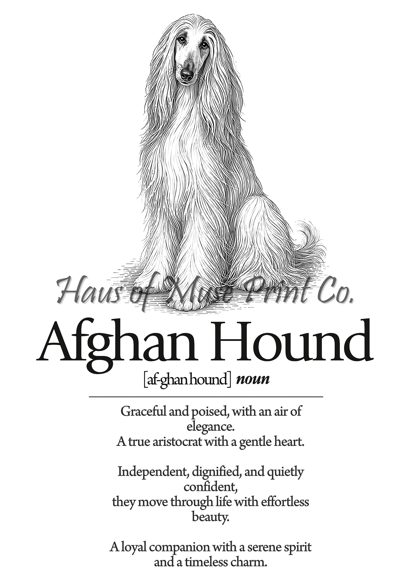 Afghan Hound Dog Dictionary dog wall art print by Haus of Muse Print Co.