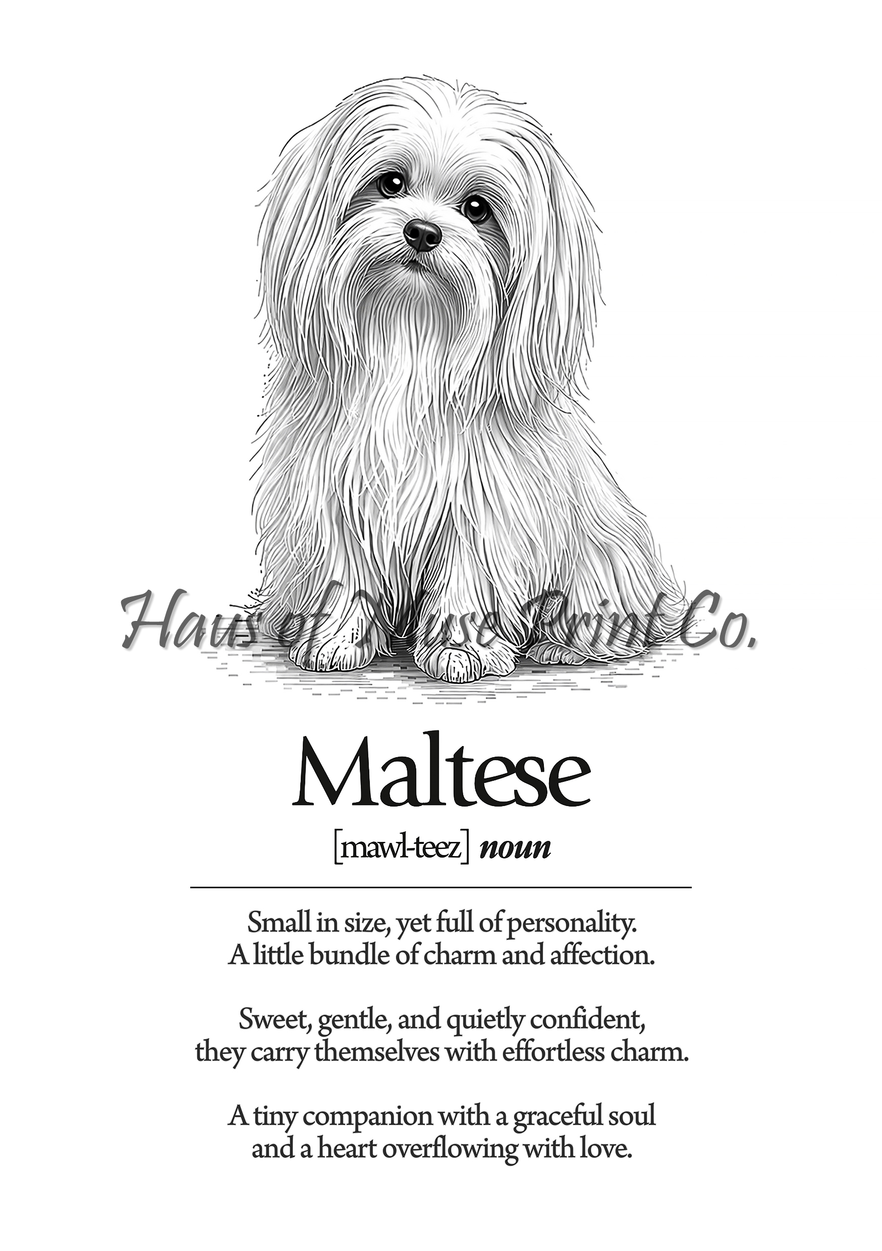 Maltese Dog Dictionary dog wall art print by Haus of Muse Print Co.