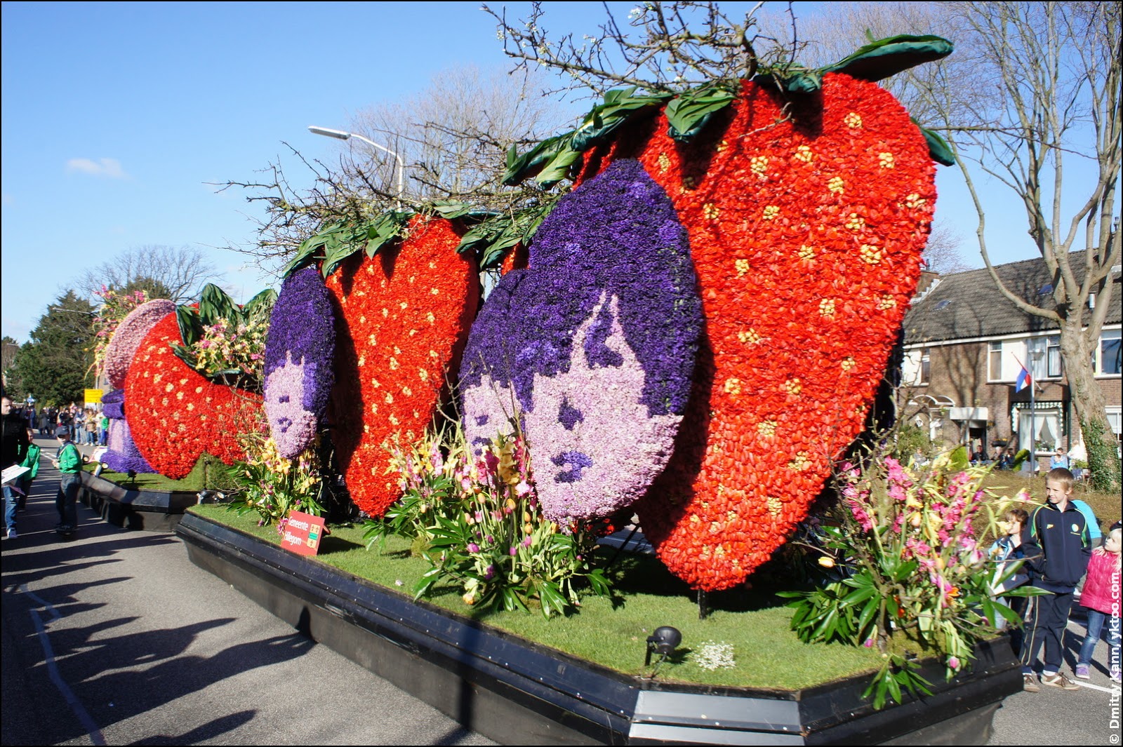 Dutch Flower Parade 2024 - Tulip Festival Amsterdam