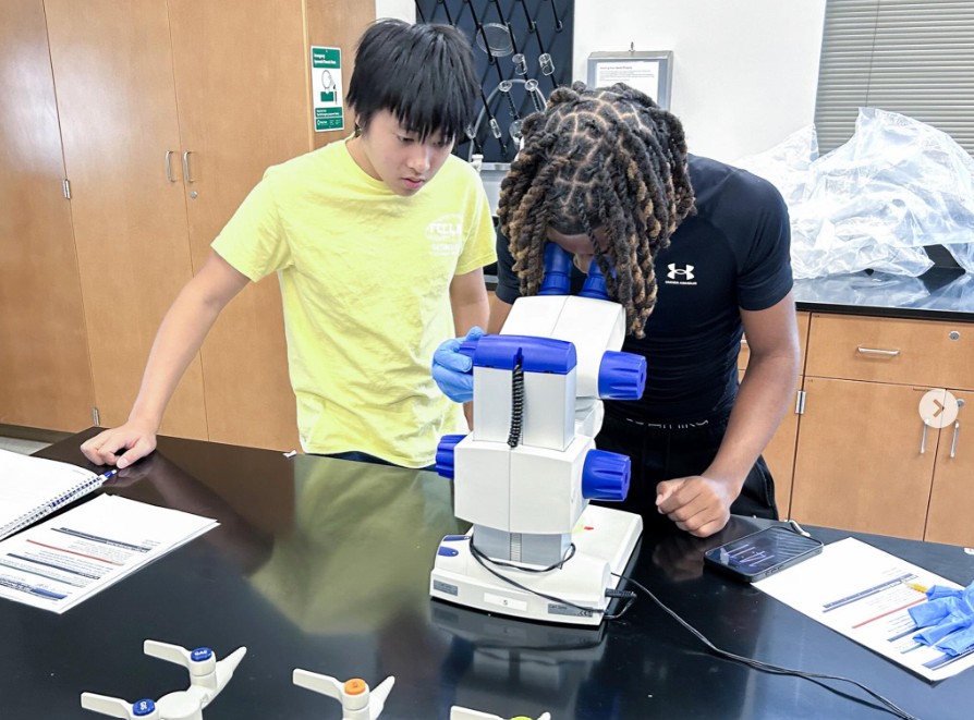 Healthcare and Biotechnology