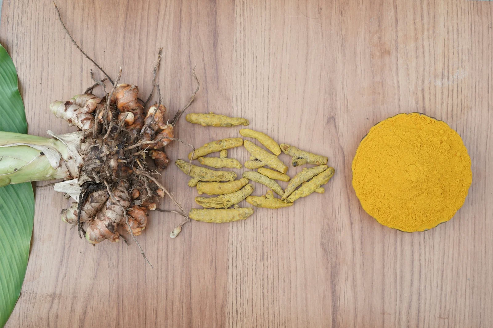 Turmeric fingers, dried rhizomes and powder