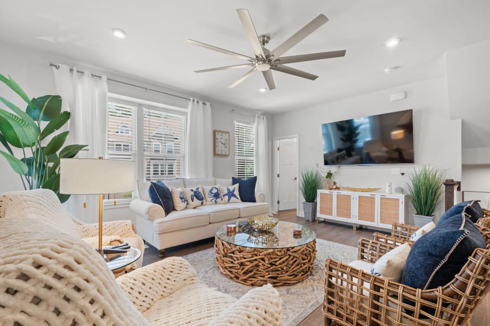 Living room with driftwood coffee table and wall-mounted TV