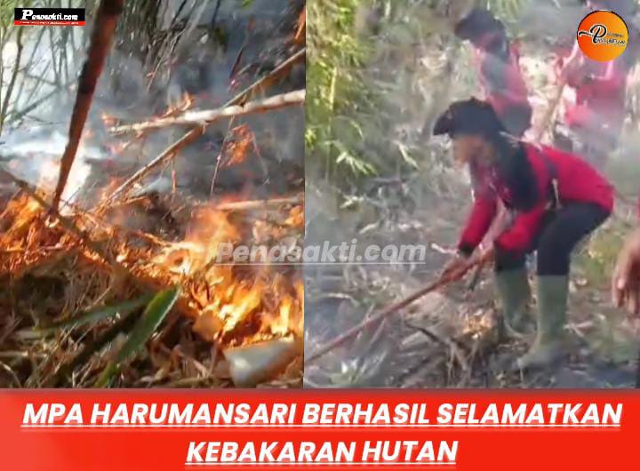Lahan Warga Picu Kebakaran Hutan di Garut, Ketangkasan Tim MPA Harumansari Diuji ‎ ‎