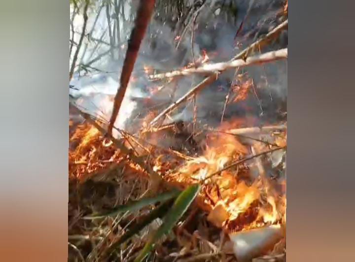 Lahan Warga Picu Kebakaran Hutan di Garut, Ketangkasan Tim MPA Harumansari Diuji 