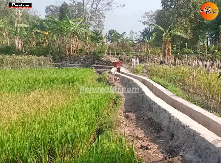 Dongkrak Produktivitas Pertanian, BBWS Cimanuk Cisanggarung Percepat Proyek P3-TGAI di Desa Talagasari Kadungora Garut
