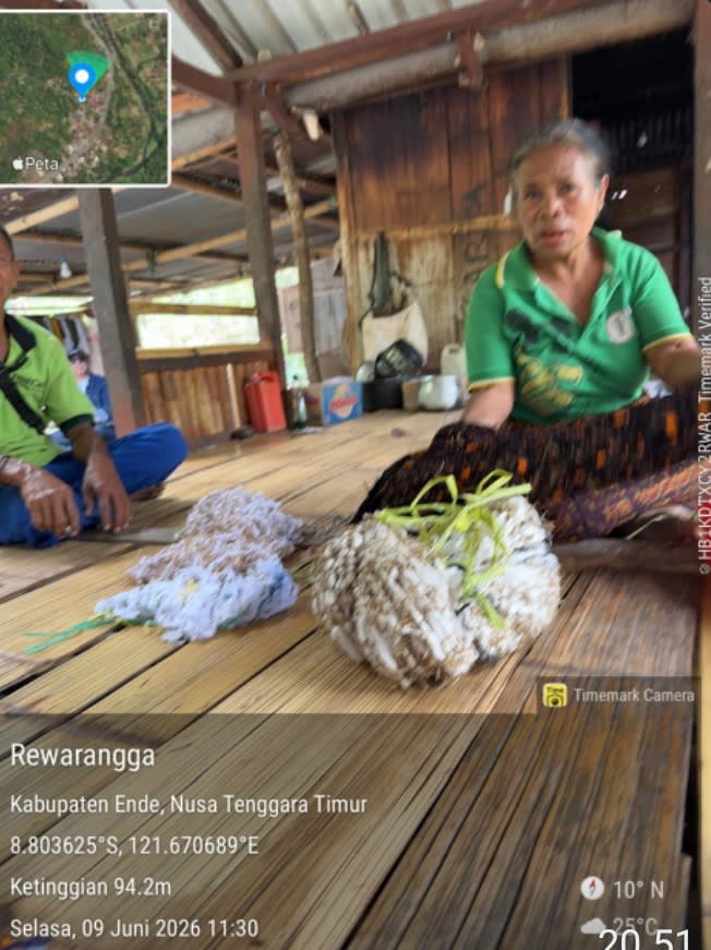 Sibuk Urus Garut, Ketua LBH Balinkras Dini Agustini Tetap Kolaborasi Pelestarian Tenun Ende di NTT