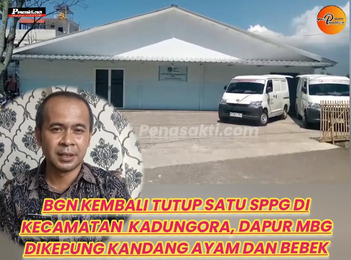 Lagi-Lagi BGN Tutup Satu Dapur MBG di Kadungora, Kali ini Karena Beroperasi di Samping Kandang Ayam