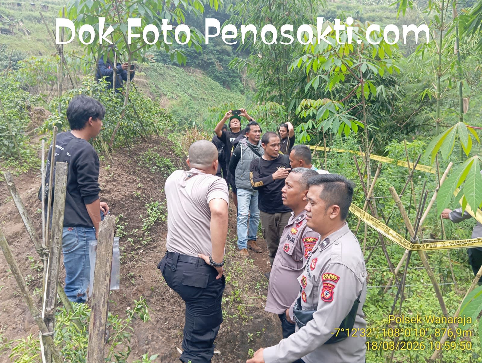 Polisi Berhasil Temukan Ladang Ganja di Kabupaten Garut