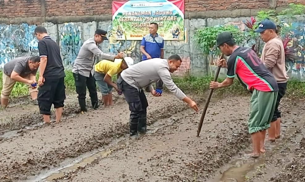 Personil Polsek Blanakan Pimpin Penanaman Jagung Serentak 750 Hektare Se – polda Jabar Program Ketahanan Pangan Nasional Tingkat Kec. Blanakan
