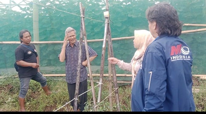 APIKI–MIO Indonesia Perkuat Ketahanan Pangan Lewat Pendampingan Pertanian Organik di Kebumen, Cilacap, dan Banyumas