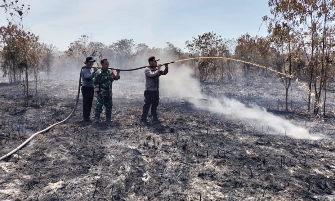Kebakaran Hutan Semakin Meluas di Beberapa Kabupaten Provinsi Riau, Kabut Asap Berdampak Pada Penglihatan dan Penyakit Ispa