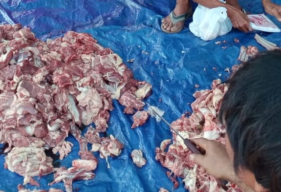Kisah di Balik Tumbangnya 24 Ekor Kambing dan Satu Sapi Kurban