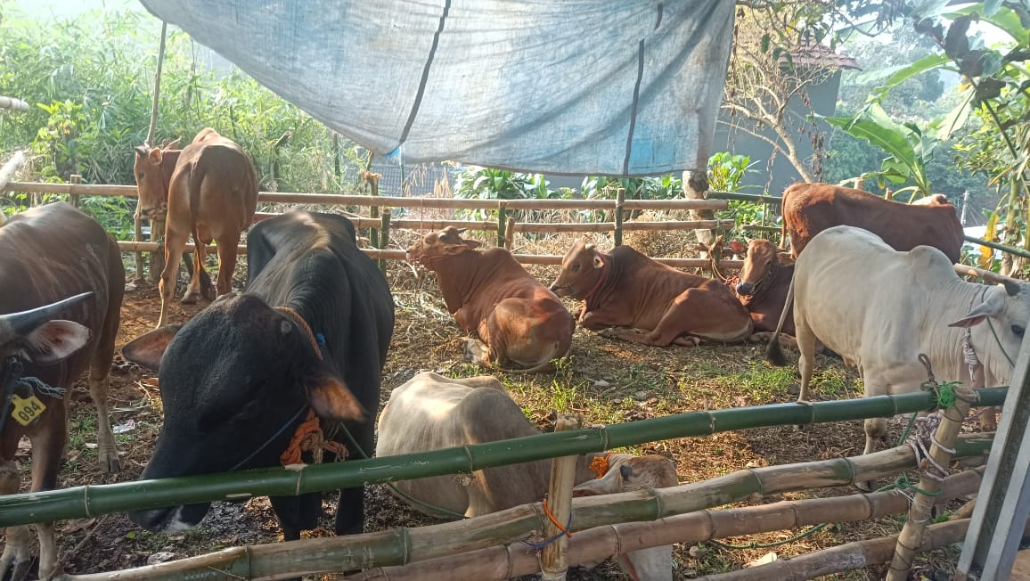 WARGA PERUM TAMAN RW. 14 ASRI KOTA SUKABUMI BERQURBAN
