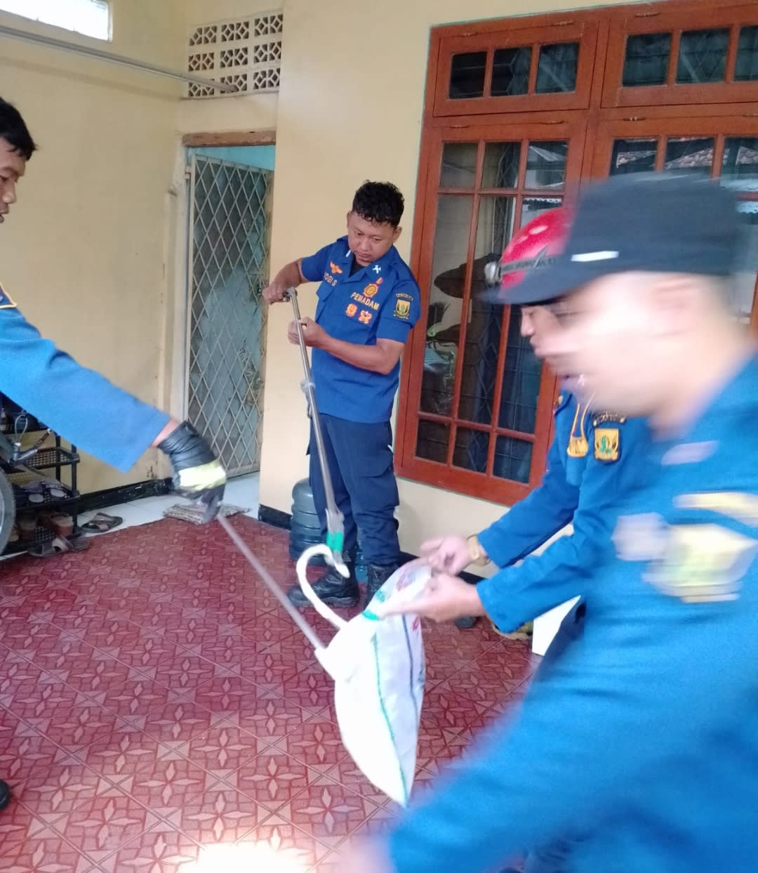 Heboh Ular berbisa memasuki Rumah Kepala Sekolah SMA Negeri 5 Kota Sukabumi Pada Dini Hari, Tim Rescue Damkar Turun Tangan