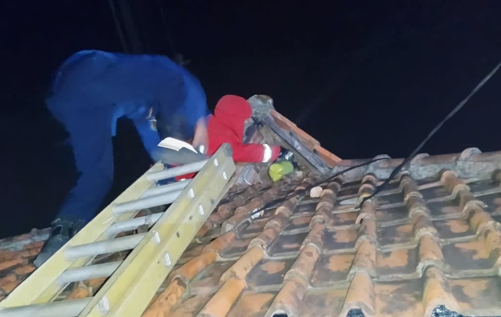 Tim Damkar Purwakarta Evakuasi Sarang Tawon Liar di Atap Gardu Pos RT. 01/02 Kp. Cipinang Desa Cipinang Cempaka