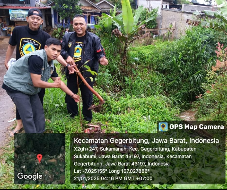 Penghijauan Suradita Geger Bitung dan Hulu sungai Cimandiri, Lsm Dampal Jurig Bersama Darul Fatah Mandiri Forkopincam Tanam dan kirim 1000 Pohon ke Wil geger Bitung tahap 1