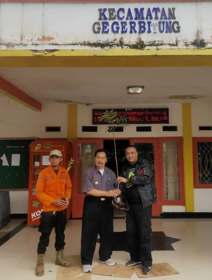 Penghijauan Suradita Geger Bitung dan Hulu sungai Cimandiri, Lsm Dampal Jurig Bersama Darul Fatah Mandiri Forkopincam Tanam dan kirim 1000 Pohon ke Wil geger Bitung tahap 1