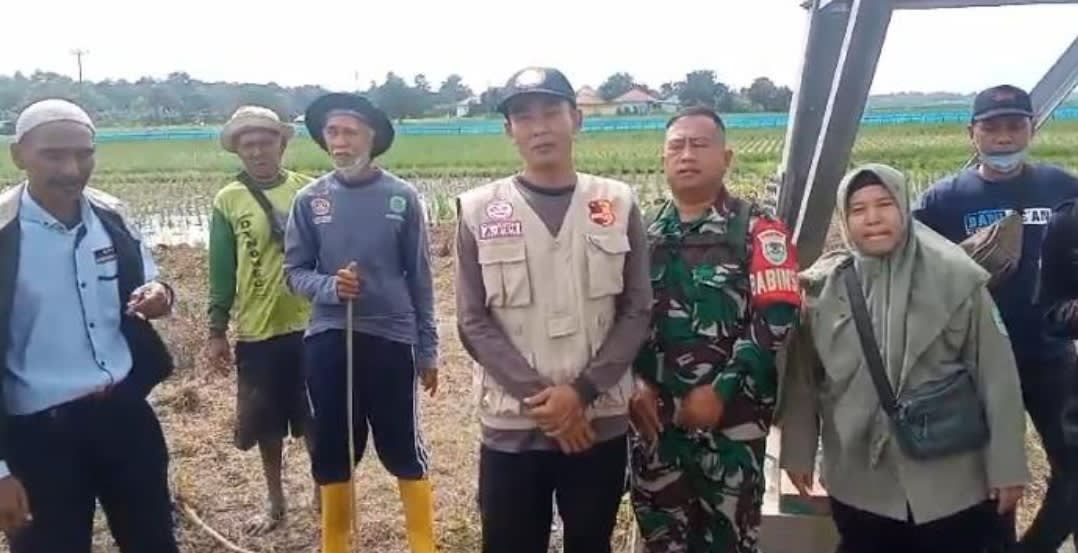 Gabungan Kelompok Tani (Gapoktan) Warga Bersatu, bersama sama bergotong royong membasmi tikus, dalam kegiatan Gerakan Pengendalian (Gerdal) hama tikus di desa DUKUH KECAMATAN CIASEM