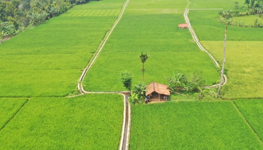 Dukung Program Ketahanan Pangan, DPUTR Purwakarta Pastikan Peningkatan Jaringan Irigasi