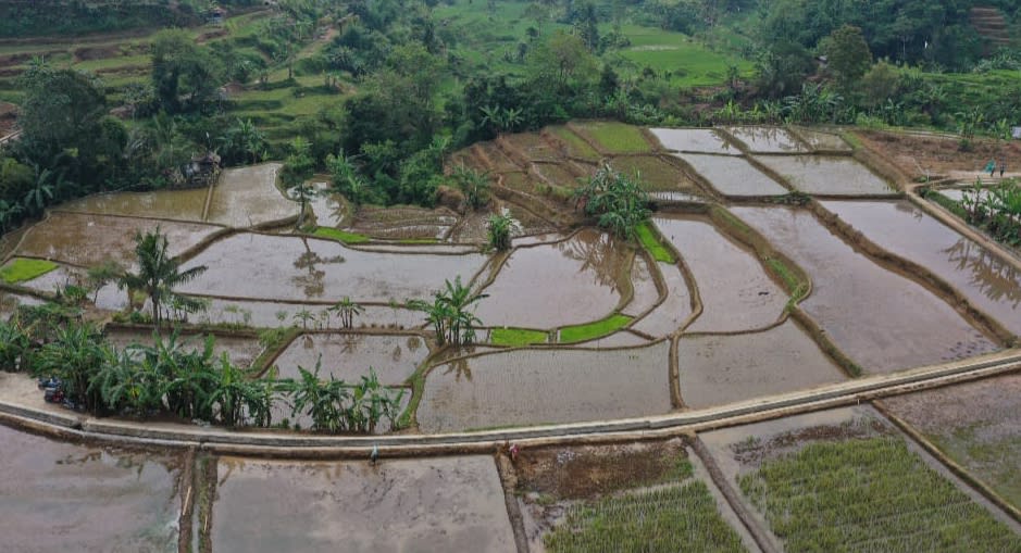 Dukung Program Ketahanan Pangan, DPUTR Purwakarta Pastikan Peningkatan Jaringan Irigasi