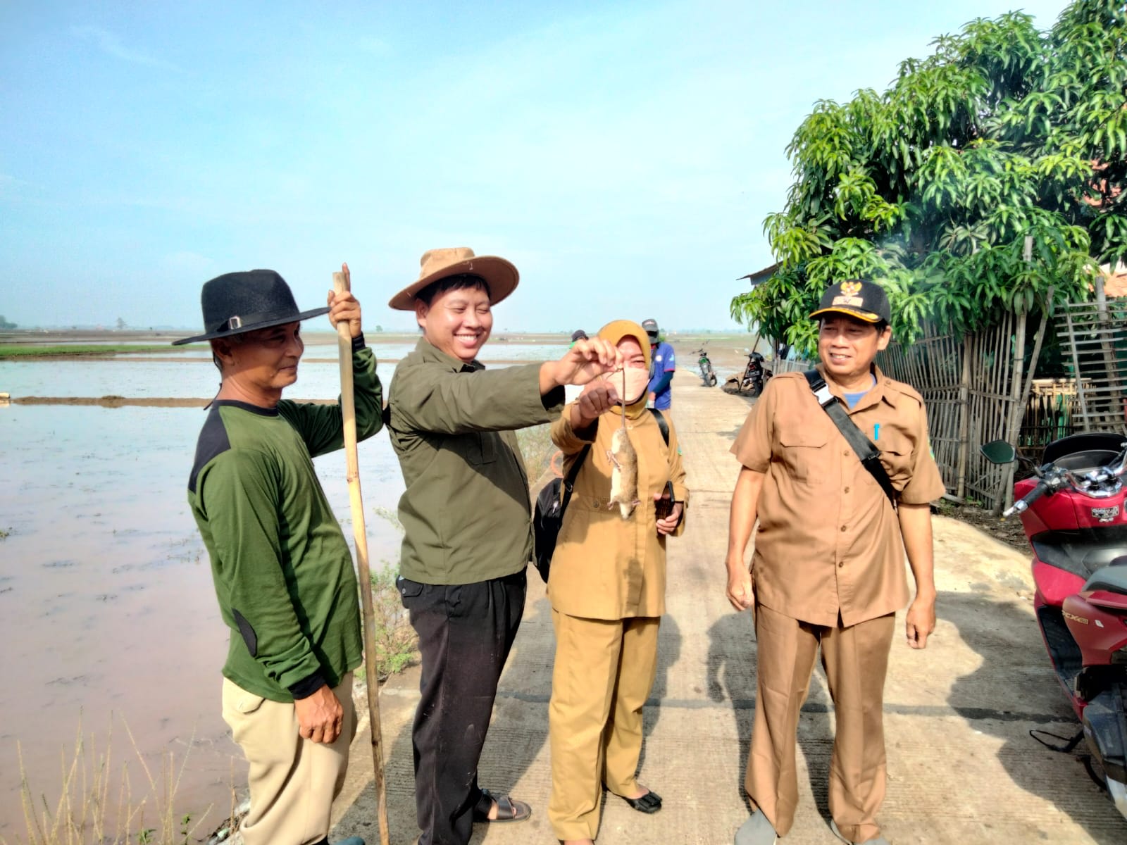 DESA MULYASARI KEC. BINONG ANTISIPASI HAMA TIKUS DI MUSIM TANAM PADI