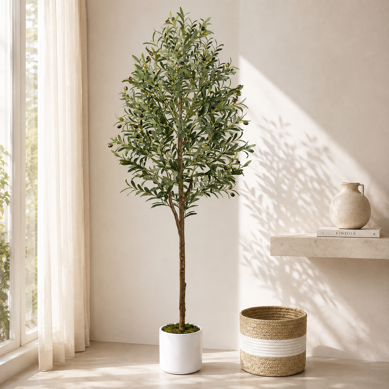 Indoor Plant