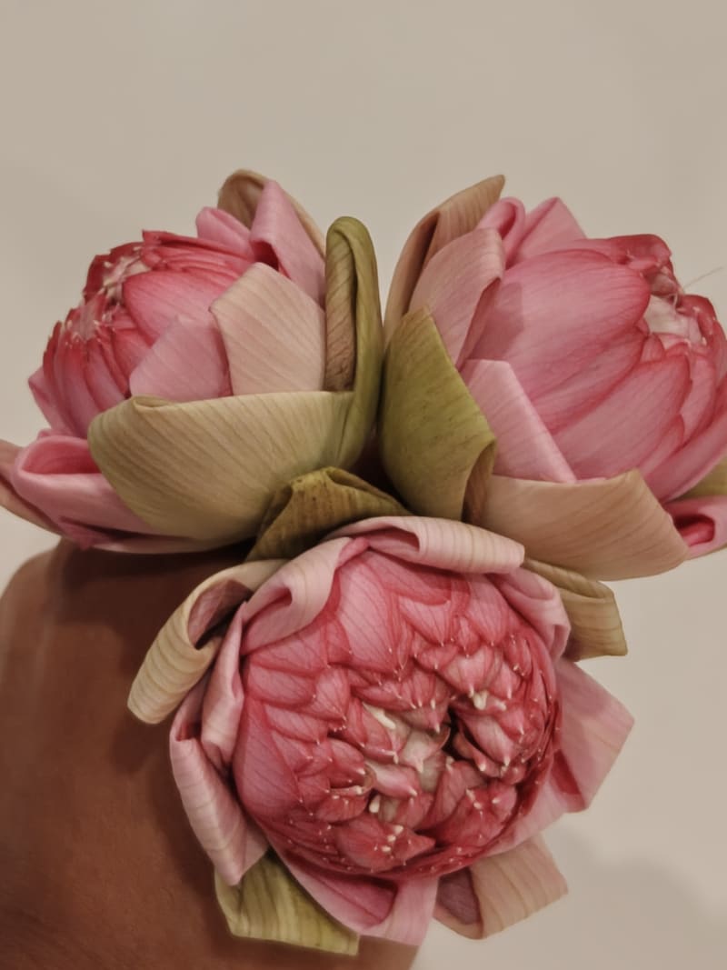 Hand-Folded Pink Lotus Trio