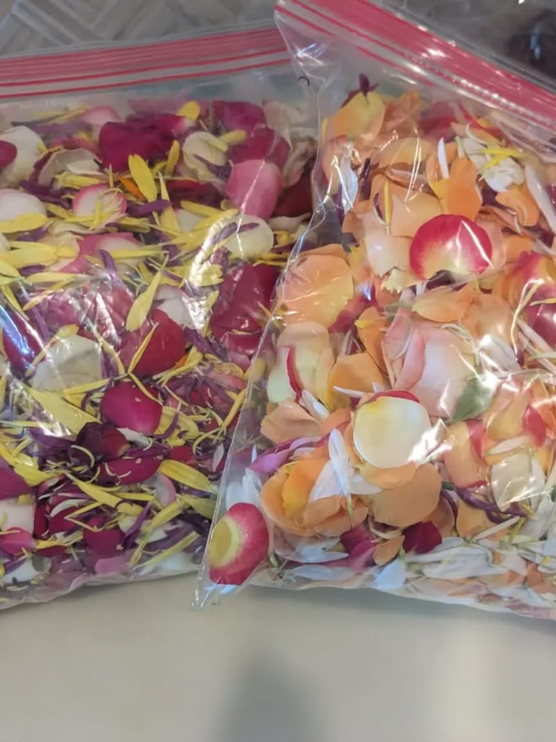 Fresh Rose & Mum Petals for Pooja