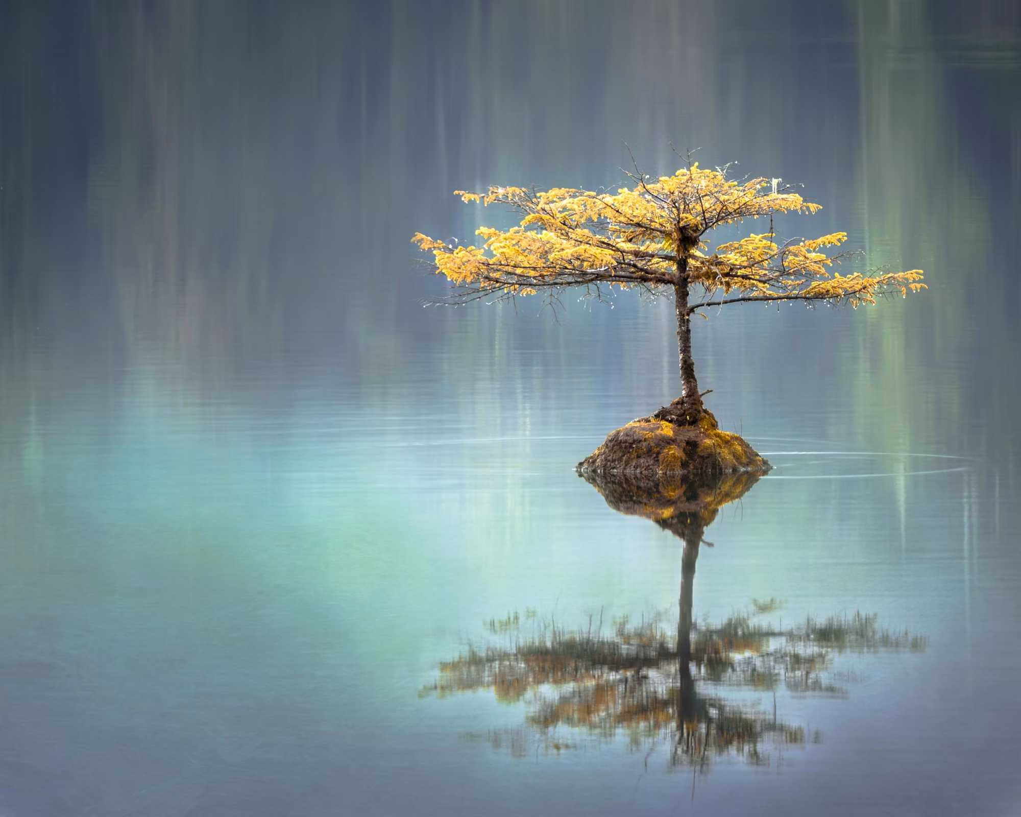 Serene nature