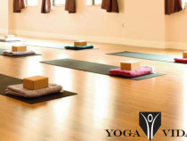 Yoga Vida Yoga Studio in New York USA