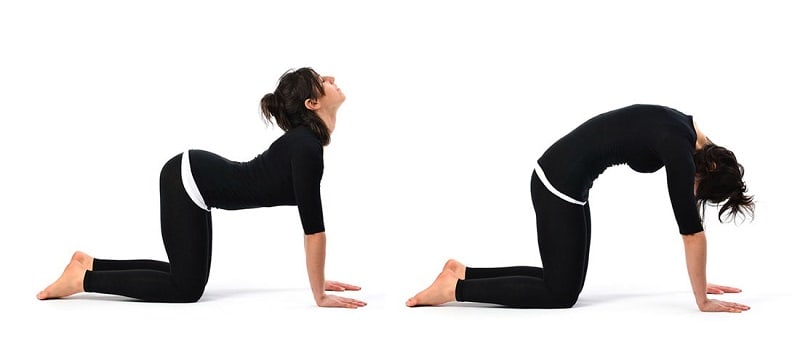 Cat-Cow Pose (Chakravakasana)