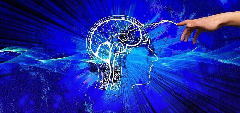 Yoga Alters the Chemical Structure of Your Brain