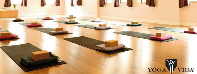yoga vida