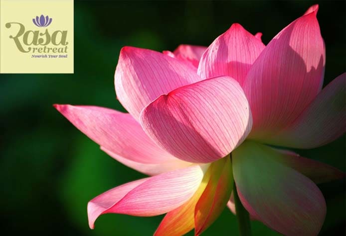 rasa retreat in Goa