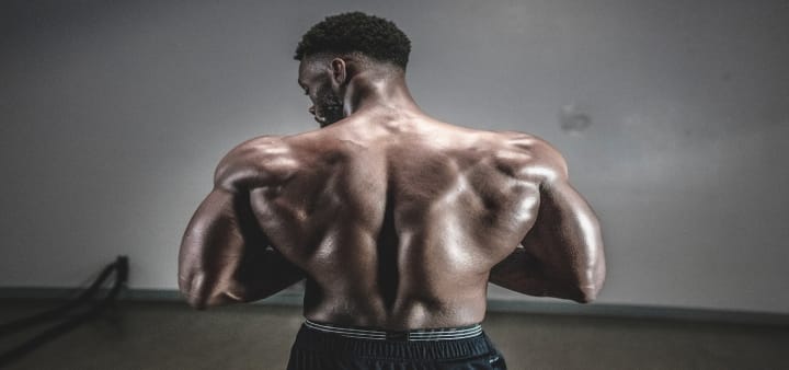 muscles