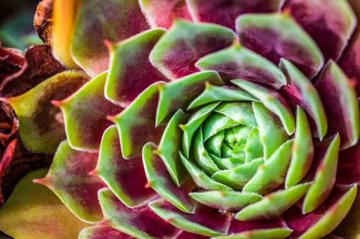 Special Class „amaSing“ – Wetzikon – mit Iris Stadelmann und Sofie Waldis – 4. Februar 2017