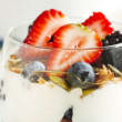 Yoghurt Pots