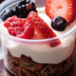 Spiced Coconut Granola (11)