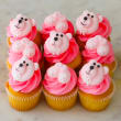 Baby girl mini cupcakes (12 pcs)