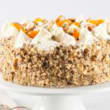 Bugsy Carrot Cake