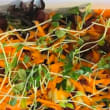 Garden salad