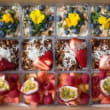 Healthy cups
